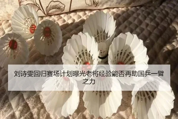 刘诗雯回归赛场计划曝光老将经验能否再助国乒一臂之力